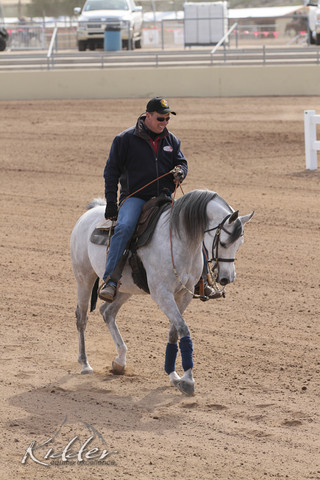 2012 Scottsdale Show | Days 1 & 2