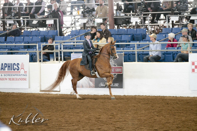 2012 Scottsdale Show | Days 1 & 2