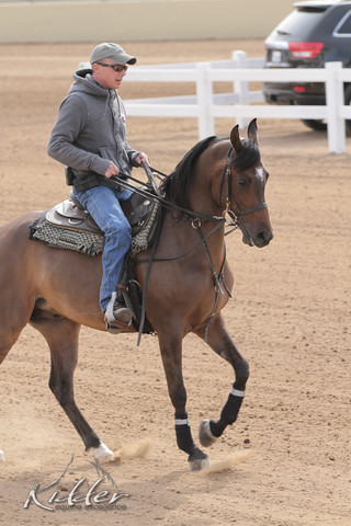 2012 Scottsdale Show | Days 1 & 2