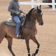 2012 Scottsdale Show | Days 1 & 2