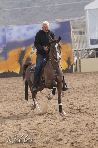 2012 Scottsdale Show | Days 1 & 2