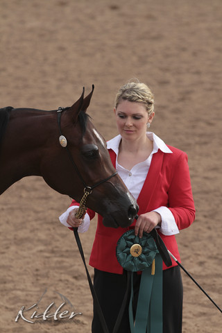 2012 Scottsdale Show | Days 1 & 2