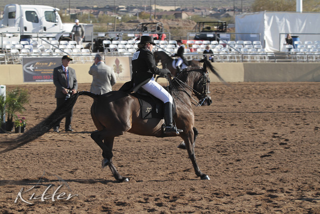 2012 Scottsdale Show | Days 1 & 2