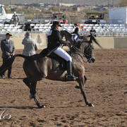 2012 Scottsdale Show | Days 1 & 2