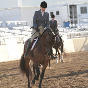 2012 Scottsdale Show | Days 1 & 2