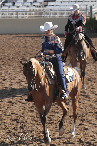 2012 Scottsdale Show | Days 1 & 2