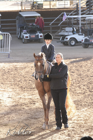 2012 Scottsdale Show | Days 1 & 2