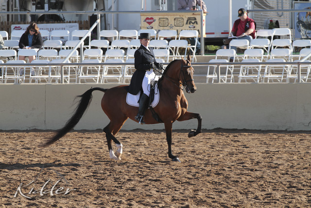 2012 Scottsdale Show | Days 1 & 2