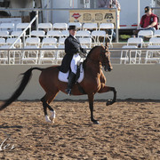 2012 Scottsdale Show | Days 1 & 2