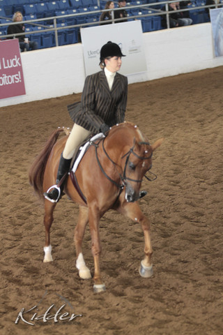 2012 Scottsdale Show | Days 1 & 2