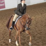 2012 Scottsdale Show | Days 1 & 2