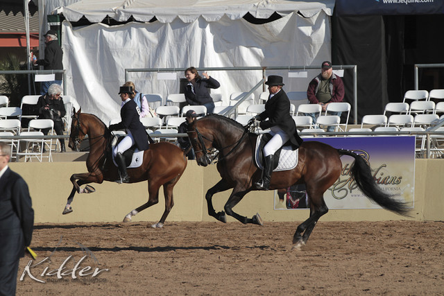2012 Scottsdale Show | Days 1 & 2