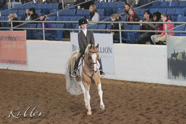 2012 Scottsdale Show | Days 1 & 2