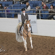 2012 Scottsdale Show | Days 1 & 2