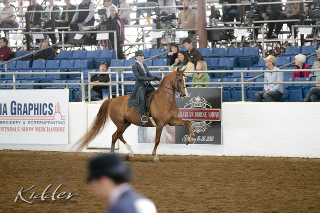 2012 Scottsdale Show | Days 1 & 2