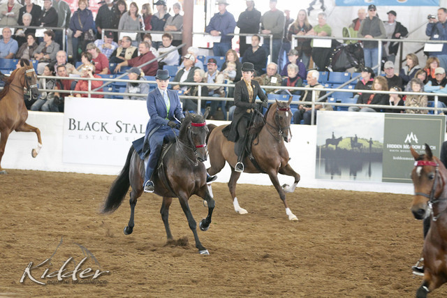 2012 Scottsdale Show | Days 1 & 2