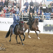 2012 Scottsdale Show | Days 1 & 2