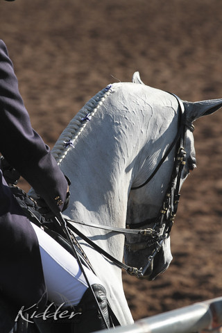 2012 Scottsdale Show | Days 1 & 2