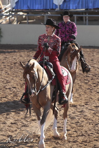 2012 Scottsdale Show | Days 1 & 2