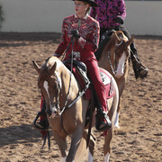 2012 Scottsdale Show | Days 1 & 2