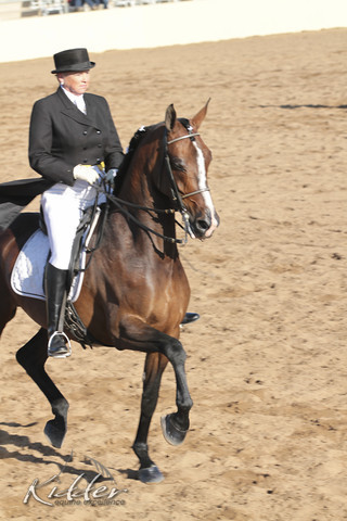 2012 Scottsdale Show | Days 1 & 2