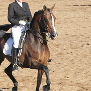 2012 Scottsdale Show | Days 1 & 2