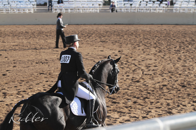 2012 Scottsdale Show | Days 1 & 2