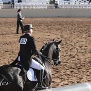 2012 Scottsdale Show | Days 1 & 2