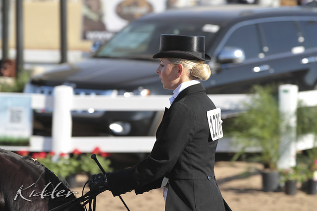 2012 Scottsdale Show | Days 1 & 2