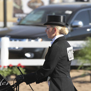 2012 Scottsdale Show | Days 1 & 2