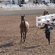 2012 Scottsdale Show | Days 1 & 2