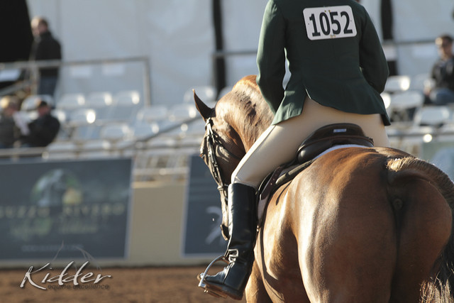 2012 Scottsdale Show | Days 1 & 2