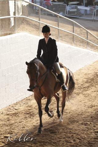 2012 Scottsdale Show | Days 1 & 2