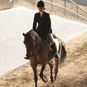 2012 Scottsdale Show | Days 1 & 2