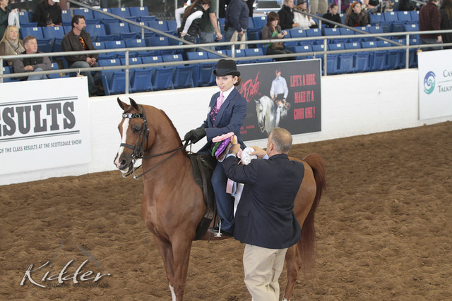 2012 Scottsdale Show | Days 1 & 2