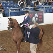 2012 Scottsdale Show | Days 1 & 2