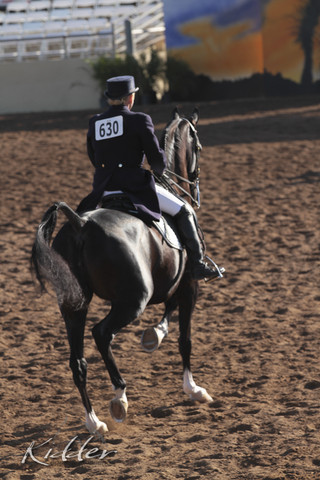 2012 Scottsdale Show | Days 1 & 2