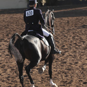 2012 Scottsdale Show | Days 1 & 2