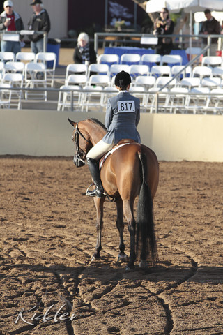 2012 Scottsdale Show | Days 1 & 2