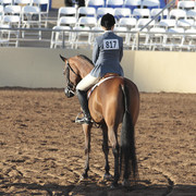 2012 Scottsdale Show | Days 1 & 2