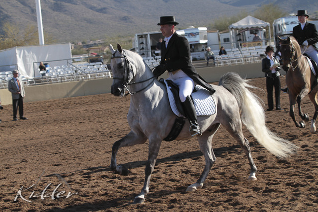 2012 Scottsdale Show | Days 1 & 2