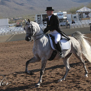 2012 Scottsdale Show | Days 1 & 2