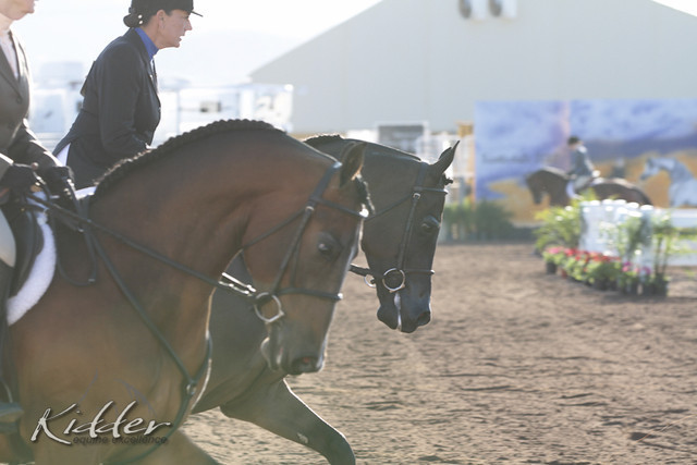 2012 Scottsdale Show | Days 1 & 2