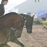 2012 Scottsdale Show | Days 1 & 2