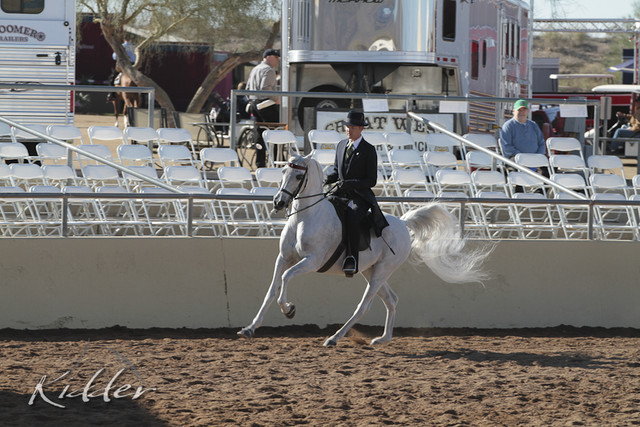 2012 Scottsdale Show | Days 1 & 2