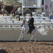 2012 Scottsdale Show | Days 1 & 2