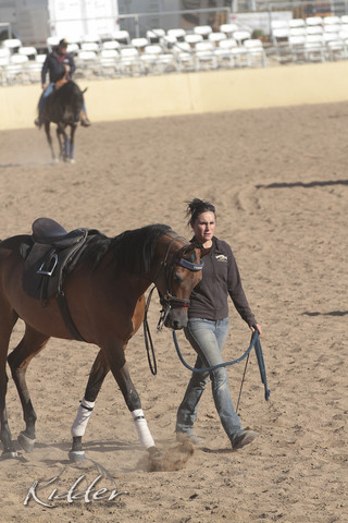 2012 Scottsdale Show | Days 1 & 2