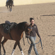 2012 Scottsdale Show | Days 1 & 2