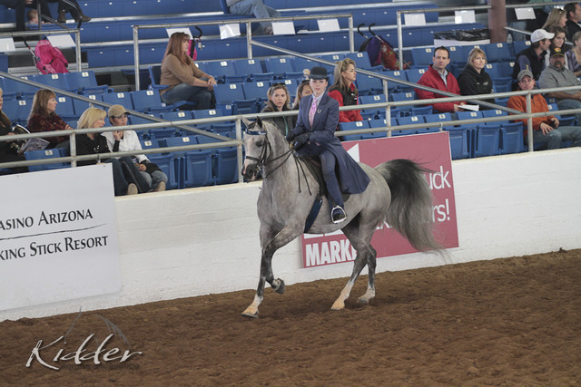2012 Scottsdale Show | Days 1 & 2