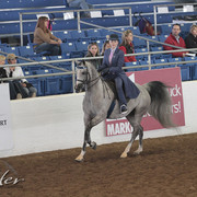 2012 Scottsdale Show | Days 1 & 2